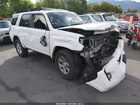 JTEMU5JR5P6201914