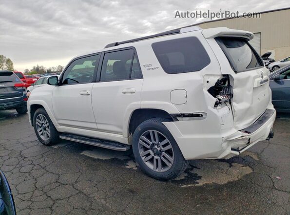 JTESU5JR7P6155350 2023 TOYOTA 4RUNNER White Tył lewy