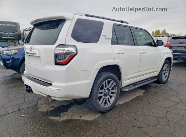 JTESU5JR7P6155350 2023 TOYOTA 4RUNNER White Tył prawy