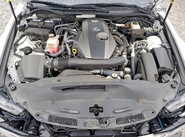 JTHGA1D29L5106479 2020 LEXUS IS Белый Вид задней части салона