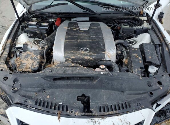 JTHGZ1E2XP5031188 2023 LEXUS IS Белый Вид задней части салона