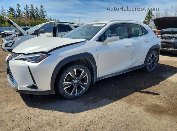 JTHL9JBH0M2042690 2021 LEXUS UX Белый Передняя левая четверть