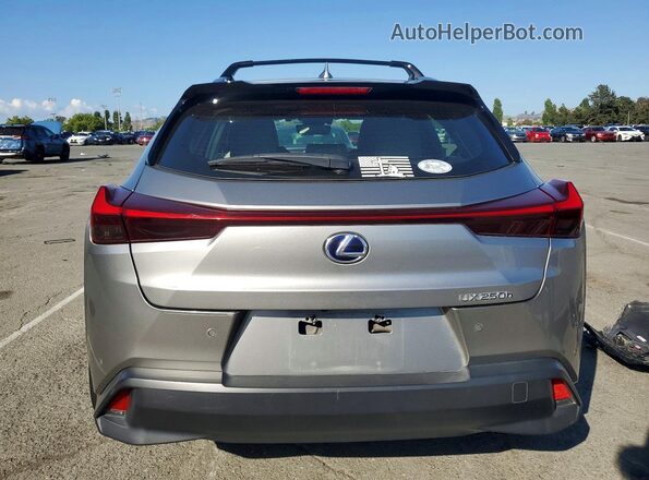 JTHL9JBH5L2033708 2020 LEXUS UX Серый Вид сзади