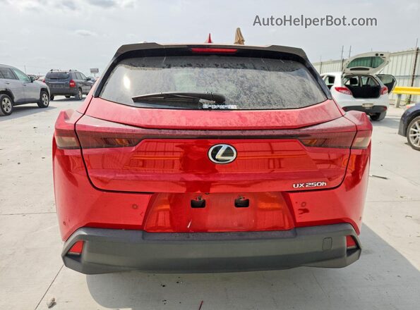 JTHP6JBH2P2148542 2023 LEXUS UX Red Հետևի տեսք