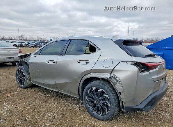 JTHP9JBH7L2024381 2020 LEXUS UX Серебряный Задняя левая четверть