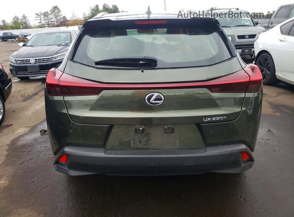 JTHP9JBH8M2041384 2021 LEXUS UX Green Rear view