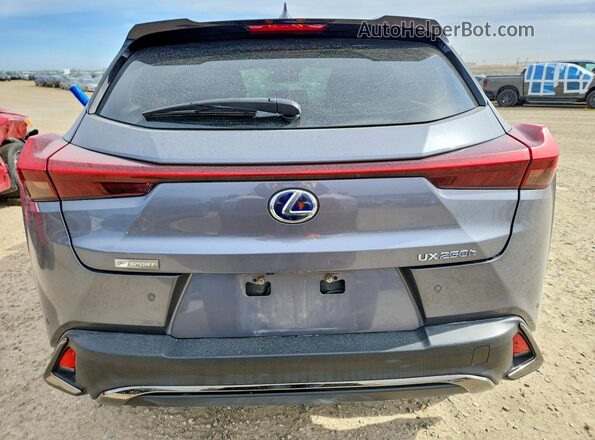 JTHR9JBH9L2022432 2020 LEXUS UX Серебряный Вид сзади