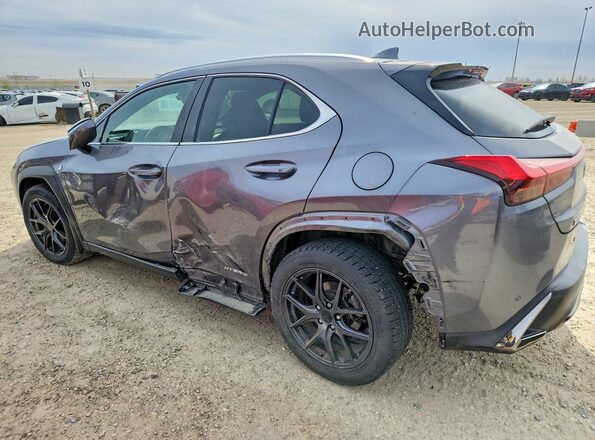 JTHR9JBH9L2022432 2020 LEXUS UX Серебряный Задняя левая четверть