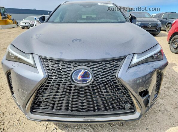 JTHR9JBH9L2022432 2020 LEXUS UX Серебряный Вид спереди