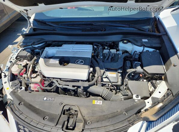JTHR9JBHXM2039399 2021 LEXUS UX White Widok wnętrza z tyłu