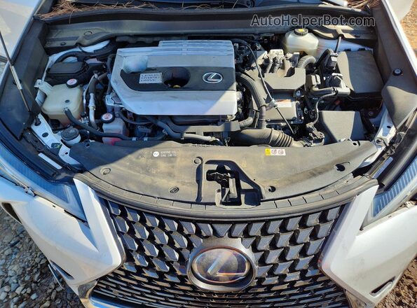 JTHU9JBH5K2017267 2019 LEXUS UX Белый Вид задней части салона