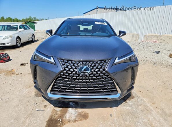 JTHUCJDH0S2011309 2025 LEXUS UX Gray Widok z przodu