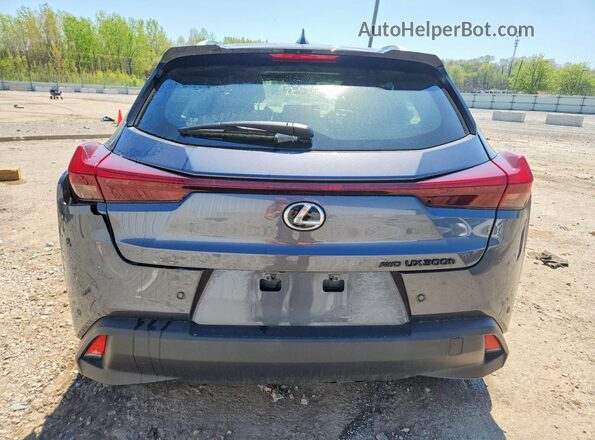 JTHUCJDH0S2011309 2025 LEXUS UX Gray Widok z tyłu