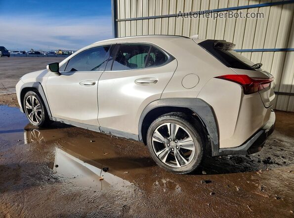 JTHX3JBH5L2021125 2020 LEXUS UX White Задня ліва чверть