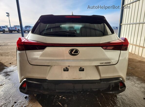 JTHX3JBH5L2021125 2020 LEXUS UX White 