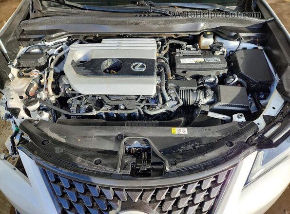 JTHX3JBH5L2021125 2020 LEXUS UX White Вид підкапотного простору