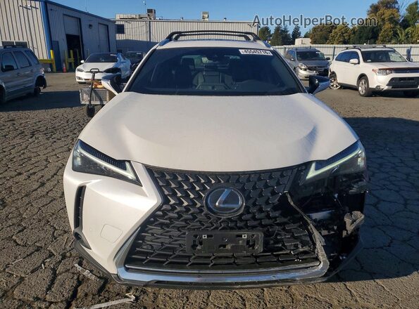 JTHX6JBH1R2170633 2024 LEXUS UX White Vista frontal