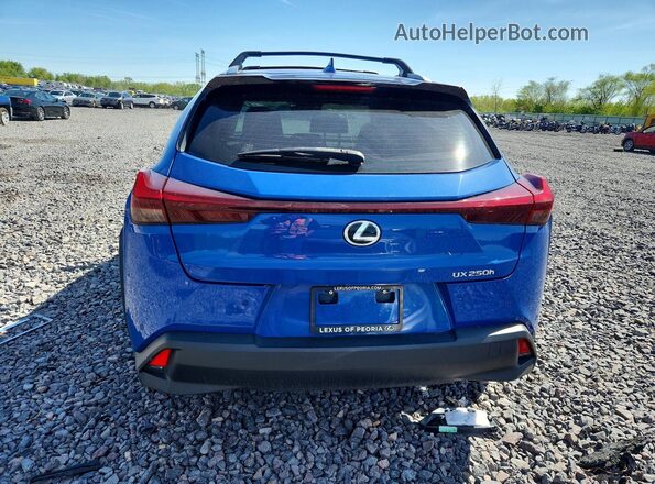 JTHX6JBH2P2133832 2023 LEXUS UX Синий Вид сзади