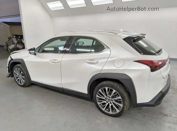 JTHX6JBH5R2176550 2024 LEXUS UX Белый Задняя левая четверть