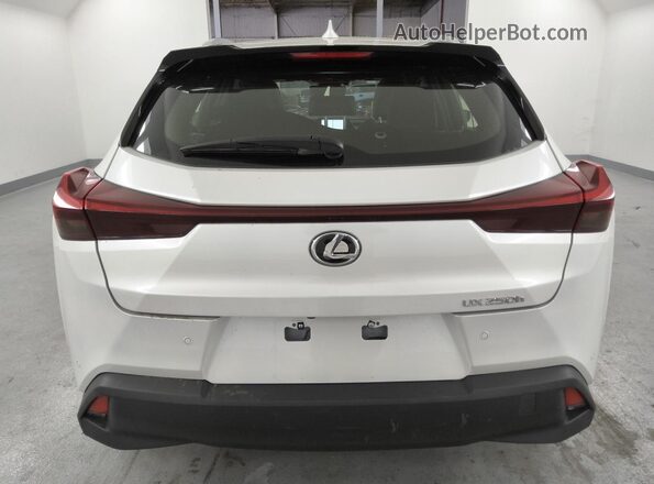JTHX6JBH5R2176550 2024 LEXUS UX Белый 