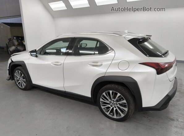 JTHX6JBH5R2176550 2024 LEXUS UX Белый 