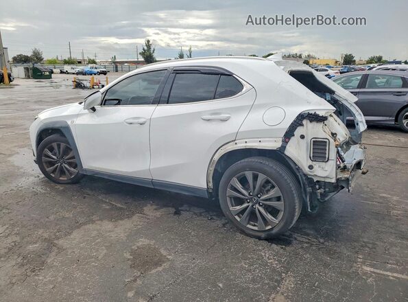 JTHY3JBH1K2002767 2019 LEXUS UX Белый Задняя левая четверть