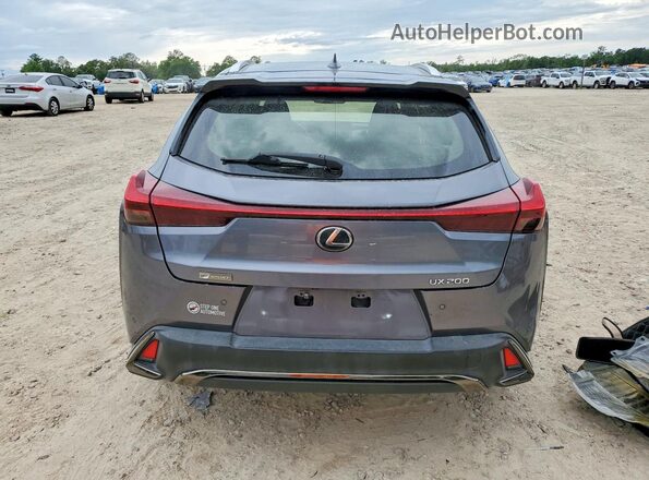 JTHY3JBH2K2014989 2019 LEXUS UX Gray Հետևի տեսք