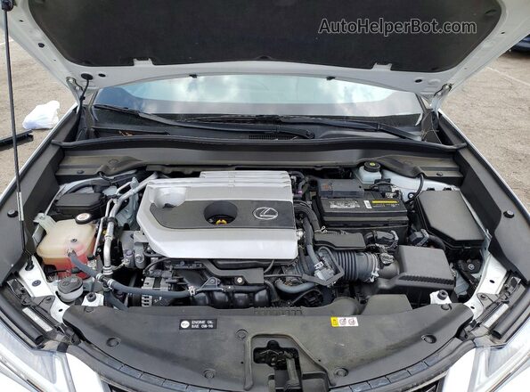 JTHY3JBH7K2005835 2019 LEXUS UX Белый Вид задней части салона
