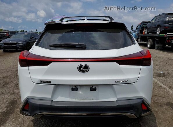 JTHY3JBH7K2005835 2019 LEXUS UX Белый Вид сзади