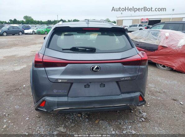 JTHY3JBH9K2004704 2019 LEXUS UX 200 Gray 