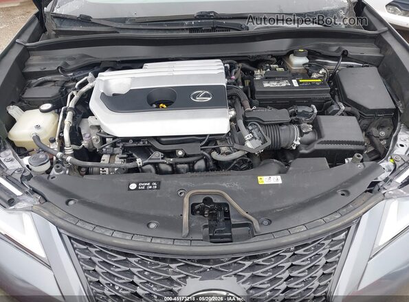 JTHY3JBH9K2004704 2019 LEXUS UX 200 Gray Vista trasera