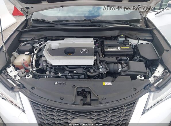 JTHY3JBHXK2002881 2019 LEXUS UX 200 White Widok z tyłu