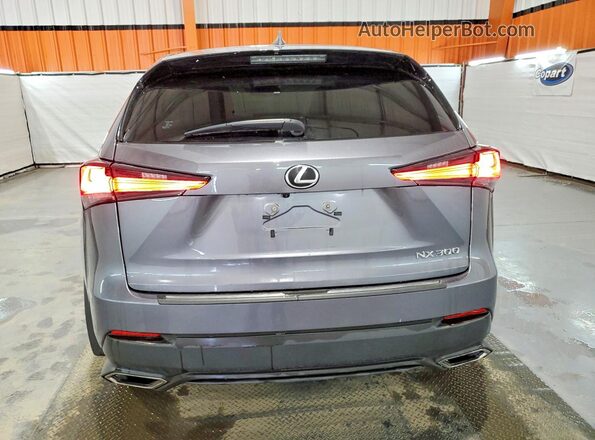JTJAARDZ4M2253523 2021 LEXUS NX Silver Vista trasera