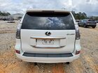 2020 Lexus Gx 460 Premium Белый vin: JTJAM7BX0L5258504