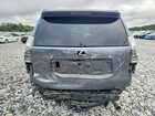 2023 Lexus Gx 460 Gray vin: JTJAM7BXXP5354744