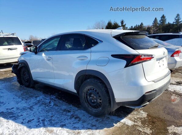 JTJBARBZ0H2136227 2017 LEXUS NX Белый Задняя левая четверть