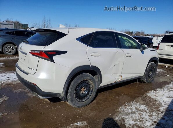 JTJBARBZ0H2136227 2017 LEXUS NX Белый Задняя правая четверть