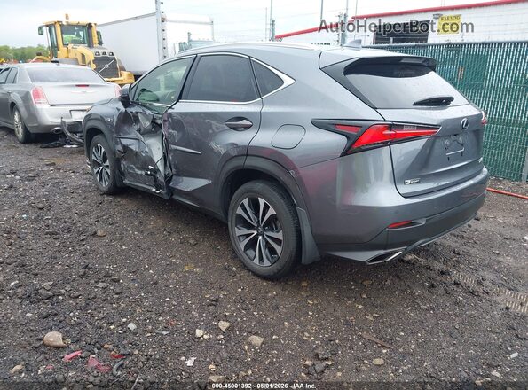 JTJBARBZ0K2199464 2019 LEXUS NX 300 Gray Tył lewy