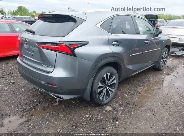 JTJBARBZ0K2199464 2019 LEXUS NX 300 Gray Tył prawy