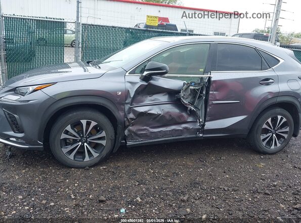JTJBARBZ0K2199464 2019 LEXUS NX 300 Gray Widok z przodu