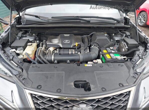 JTJBARBZ0K2199464 2019 LEXUS NX 300 Gray Widok z tyłu