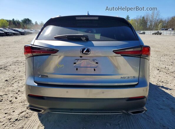 JTJBARBZ0K2201794 2019 LEXUS NX Серебряный Вид сзади