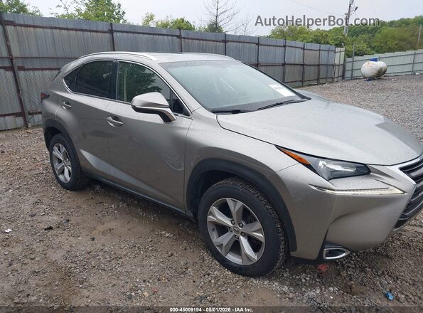 JTJBARBZ2H2143907 2017 LEXUS NX 200T Золотой Вид задней части салона