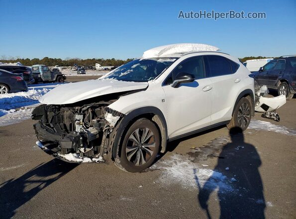 JTJBARBZ2K2187865 2019 LEXUS NX White Передня ліва чверть