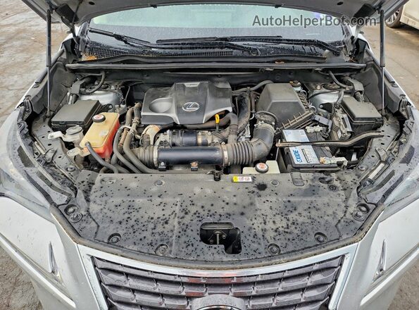 JTJBARBZ4K2194848 2019 LEXUS NX Silver Vista del compartimento del motor