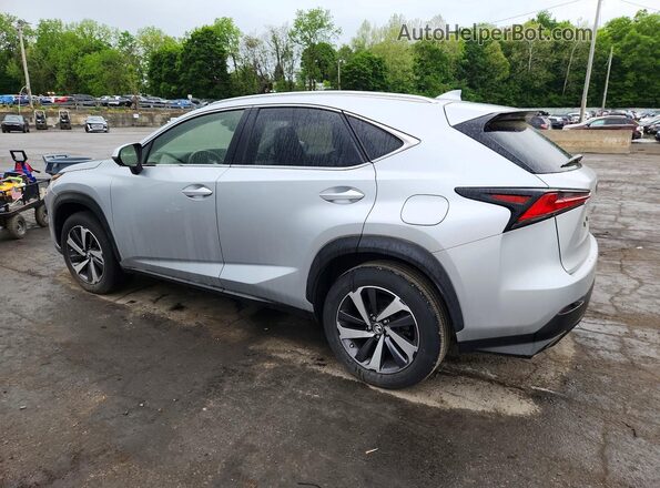 JTJBARBZ4K2194848 2019 LEXUS NX Silver Trasero izquierdo