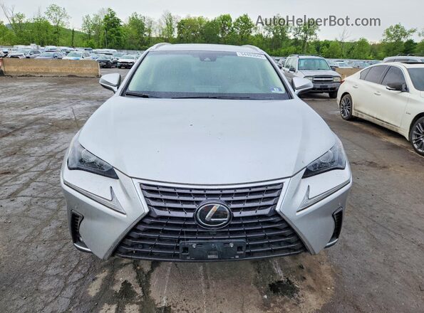 JTJBARBZ4K2194848 2019 LEXUS NX Silver Vista frontal