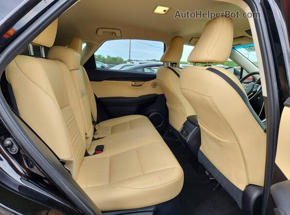 JTJBARBZ5G2062138 2016 LEXUS NX Черный Вид задней части салона