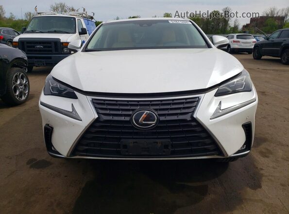 JTJBARBZ5J2167656 2018 LEXUS NX Белый Вид спереди