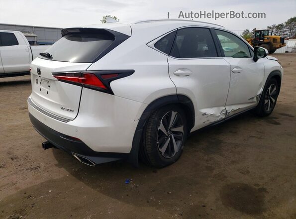 JTJBARBZ5J2167656 2018 LEXUS NX Белый Задняя правая четверть